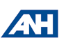 ANH Auditors - Consultants Ltd