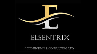 Elsentrix Accounting & Consulting Logo